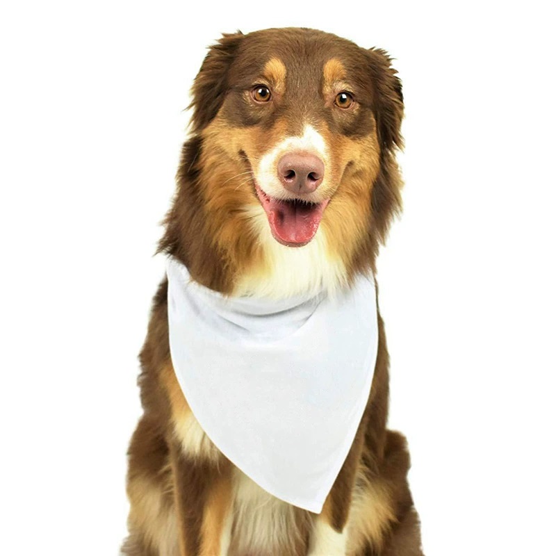 Bandana Blank White - Bandane per cani bianche in poliestere